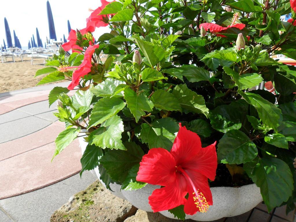 Hotel Telenia Lido di Jesolo Luaran gambar
